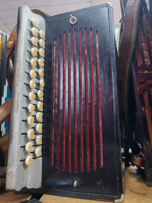 Гармонь Вологодская