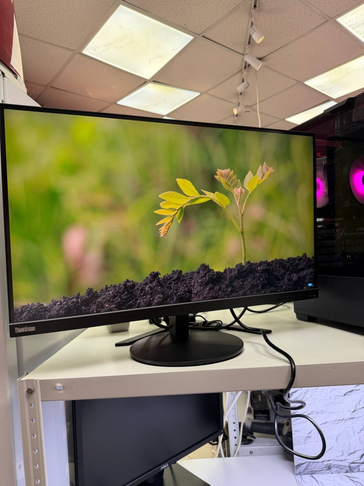 Монитор LENOVO  THINKVISION S28U-10 4K